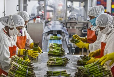 Agro & Food Processing